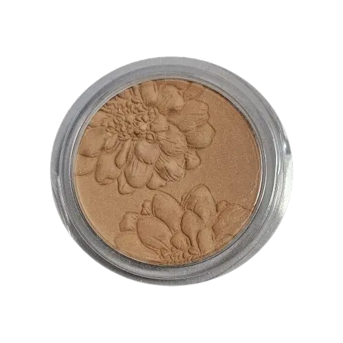 820 - 15 - POUDRE PERFECTR. ECLAT - T